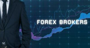 The Function of Best Forex Broker in the World